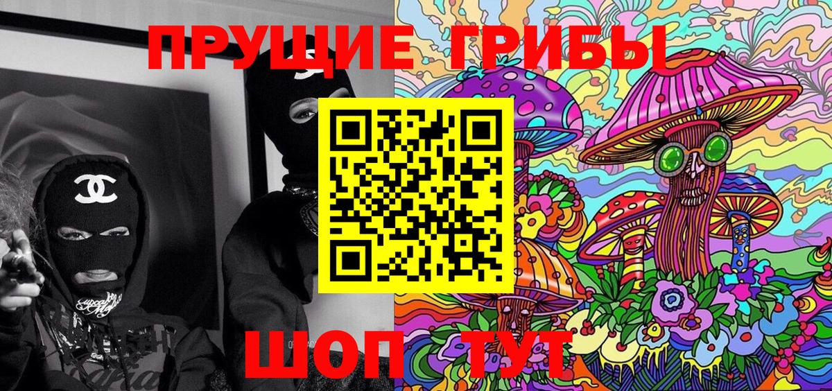хочу   Псилоцибиновые грибы Cubensis  Вход с VPN  Псилоцибиновые грибы GOLDEN TEACHER  Бийск 